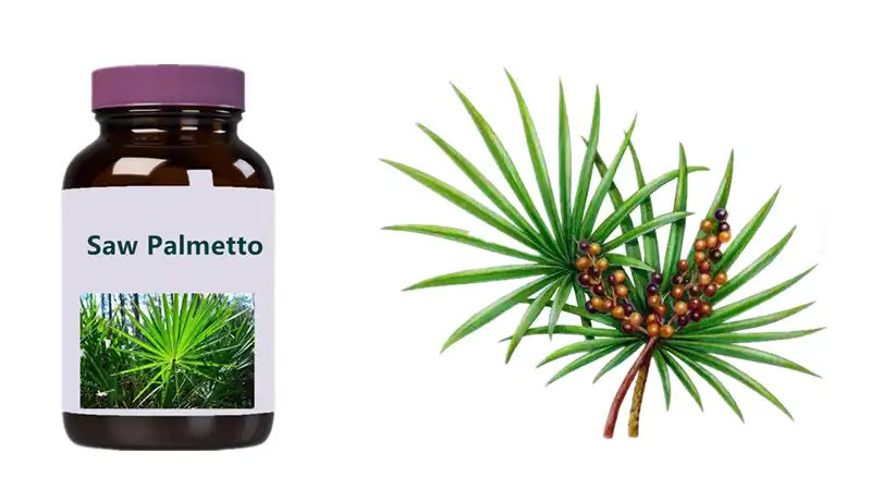 What are the benefits of pure saw palmetto supplements?